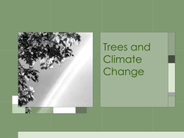 Trees and Climate Change
