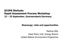 SCOPE Biofuels: Rapid Assessment Process Workshop 22 – …