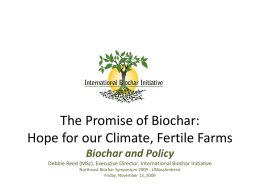 The Promise of Biochar: Hope for our Climate, Fertile Farms
