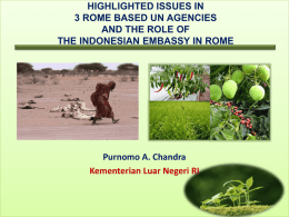 Highlighted issues in 3 Rome based UN Agencies