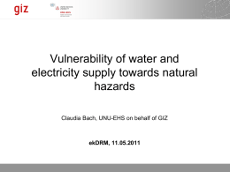 Vulnerability of water and electricity supply towards