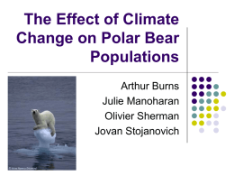 The Effect of Climate Change on Polar Bear Populations
