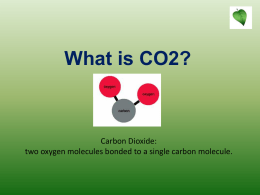 What is CO2? - North Seattle College