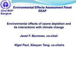 Environmental Effects Assessment Panel, EEAP Environmental