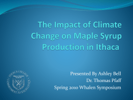 The Impact of Climate Change on Maple Syrup Production in