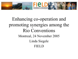Enhancing co-operation and promoting synergies among the Rio