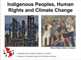 Indigenous Peoples Advocacy for Rights & Culturally-based