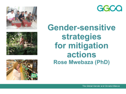 Gender-sensitive strategies for mitigation actions
