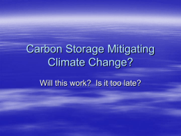 Carbon Storage Mitigating Climate Change?