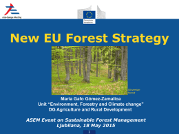 EU Forests