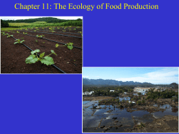 ch11 The Ecology of Food Production