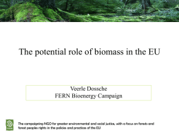 The potential role of biomass in the EU