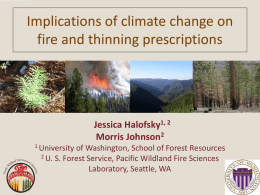 Implications of Climate Change on Fire and Thinning