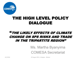 the high level policy dialogue