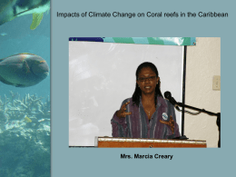 Coral Bleaching – a consequence of Climate Change in the