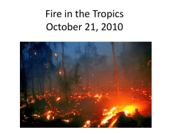Tropical Fire Ecology - Natural Resource Ecology and Management