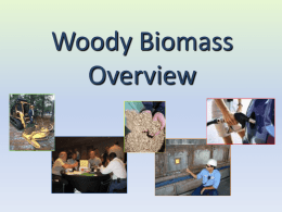 Welcome to the Wood to Energy Forum