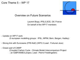 Laurent Bopp, Overview on future scenarios