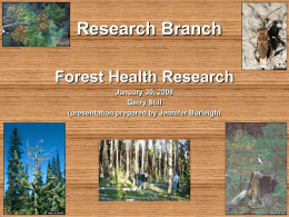 FH Research Branch