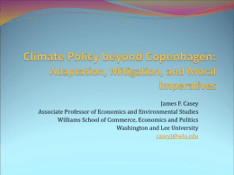 Climate Policy beyond Copenhagen