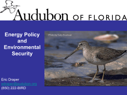 Audubon-Florida-Energy-Policy-Presentation