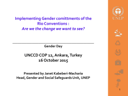 gender commitments of the rio conventions