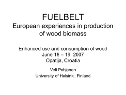 Potential of European forest belt in energy production and carbon