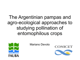 The Argentinian pampas and agro