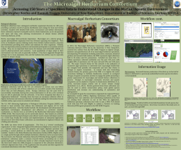 Macroalgal Project Overview Poster from NEAS 2014