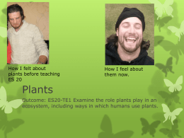 Plants - Logan Petlak