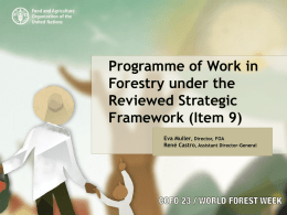 Item 9.0 Programme of Work in Forestry under the Reviewed