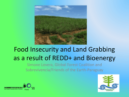 Food Prices and Land Grabbing as a result of REDD+ and Bioenergy