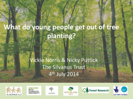 What do young people get out of tree planting?