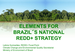 Deforestation and Forest Degradation in Brazil