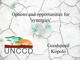 Presentation: Synergies - UNCCD