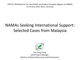 NAMAs seeking International Support: Selected cases from