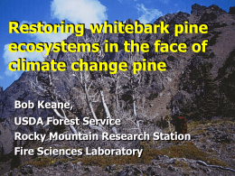 Restoring whitebark pine ecosystems in the face of climate change