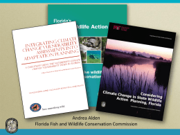 Revising the Florida Wildlife Action Plan