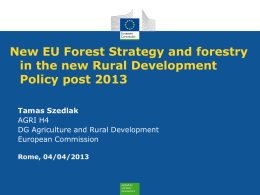Towards a new EU Forest Strategy