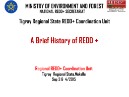 A brief history of REDD