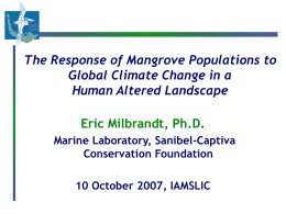 The response of mangrove populations to global climate change in