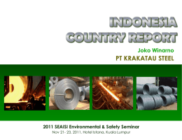 INDONESIA COUNTRY REPORT