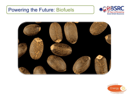 Powering the Future: Biofuels