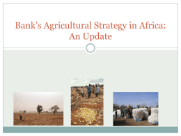 Bank`s Agricultural Strategy in Africa: An Update