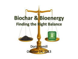 Biochar vs. Biofuels Factors in the Balance