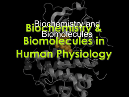 L2 Biomolecules - Site Title :: Biology