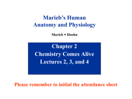 Hole Chapter 2 - Chemical Basis of Life