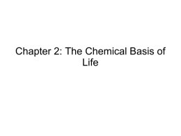 Chapter 2: The Chemical Basis of Life