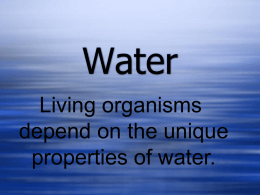 Water Molecules