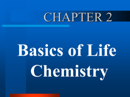 Chapter 2 - Simple Things of Life